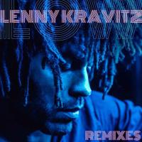 [Lenny Kravitz] Lenny Kravitz Remixes