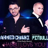 [Pitbull] Pitbull Remixes